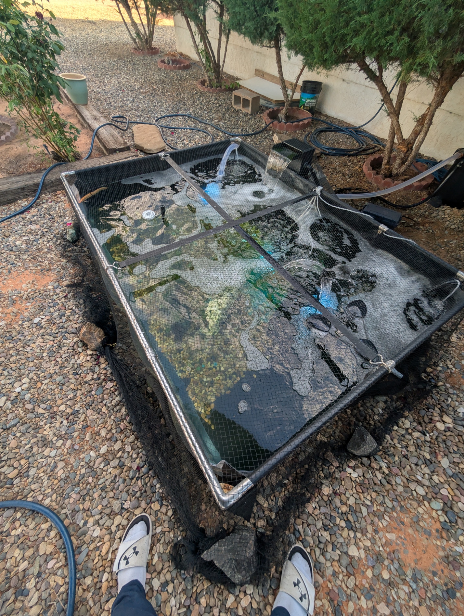 Aquascaping